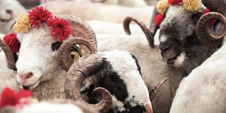 Kurban Bayramı Tatili Ne Zaman Başlıyor ?