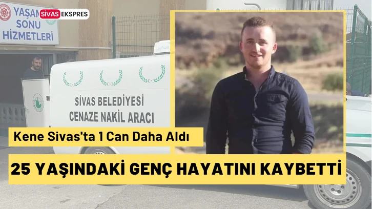 Kene Sivas'ta 1 Can Daha Aldı