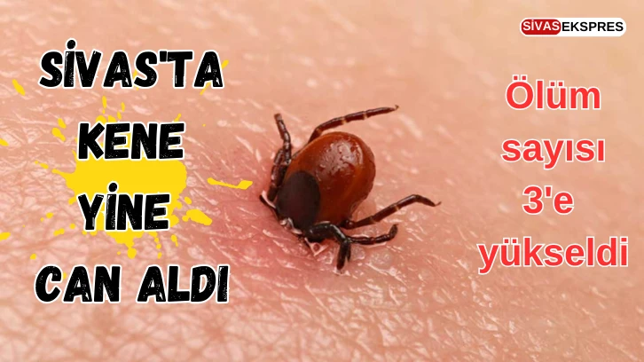 Sivas'ta Kene Yine Can Aldı