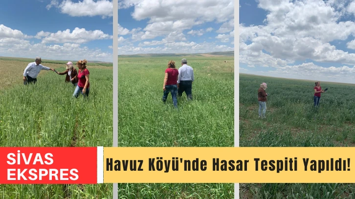 Havuz Köyü'nde Hasar Tespiti Yapıldı!