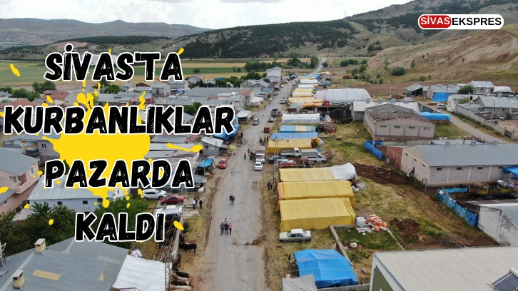 Sivas'ta Kurbanlıklar Pazarda Kaldı