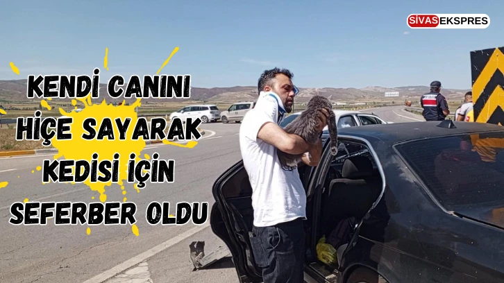 Kendi Canını Hiçe Sayarak Kedisiyle İlgilendi