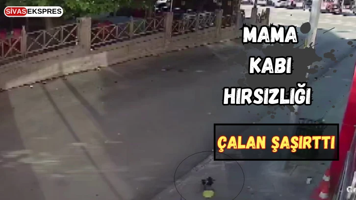 Mama Kabı Hırsızlığı, Çalan Şaşırttı