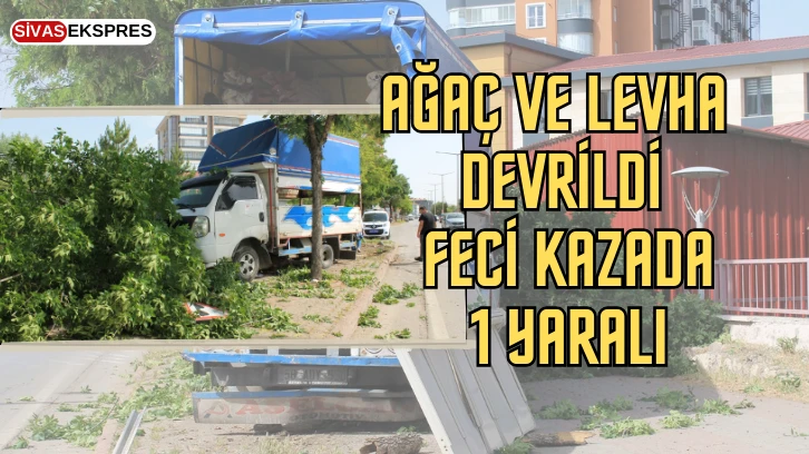 Ağaç ve Levha Devrildi, Feci Kazada 1 Yaralı