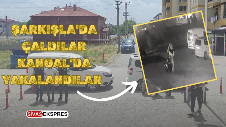 Şarkışla'da Çaldılar Kangal'da Yakalandılar   