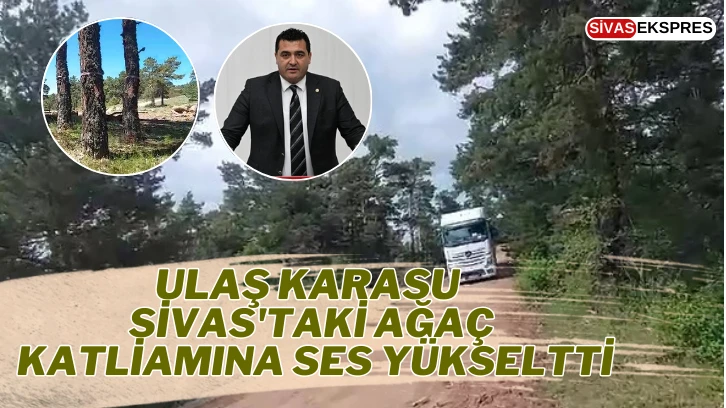 Ulaş Karasu Sivas'taki Ağaç Katliamına Ses Yükseltti