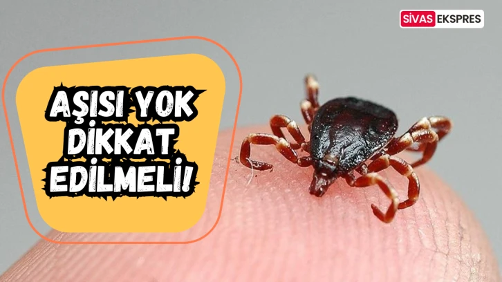 Aşısı Yok Dikkat Edilmeli!