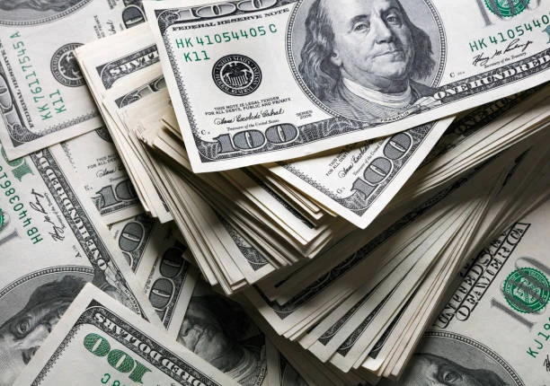 Merkez Bankası'nın Dolar ve Enflasyon Tahmini
