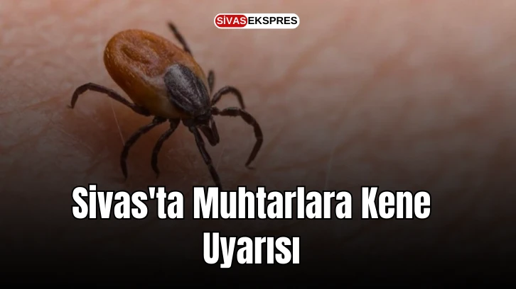 Sivas'ta Muhtarlara Kene Uyarısı