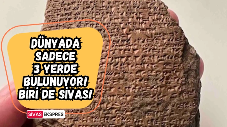 Dünyada Sadece 3 Yerde Bulunuyor! Biri de Sivas!