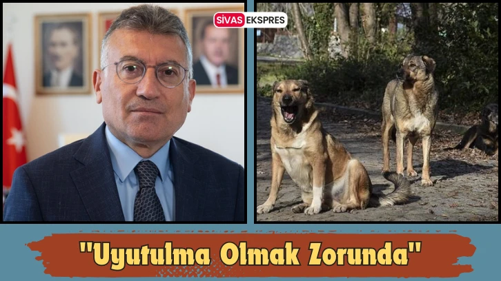 "Uyutulma Olmak Zorunda"