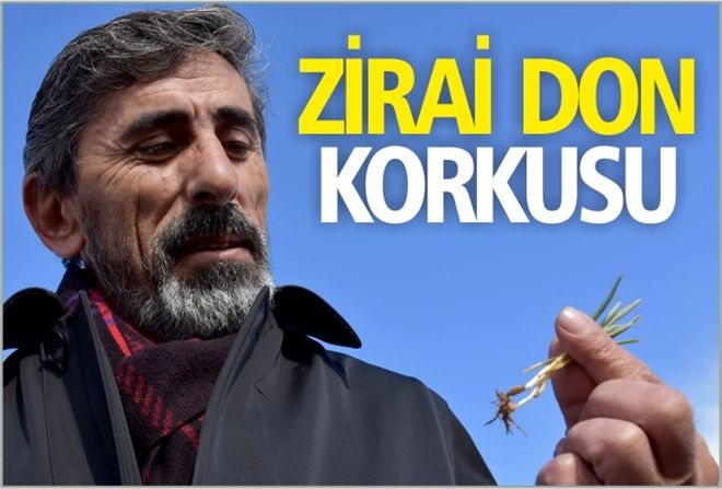 ZİRAİ DON KORKUSU