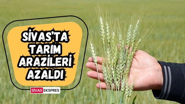 Sivas’ta Tarım Arazileri Azaldı
