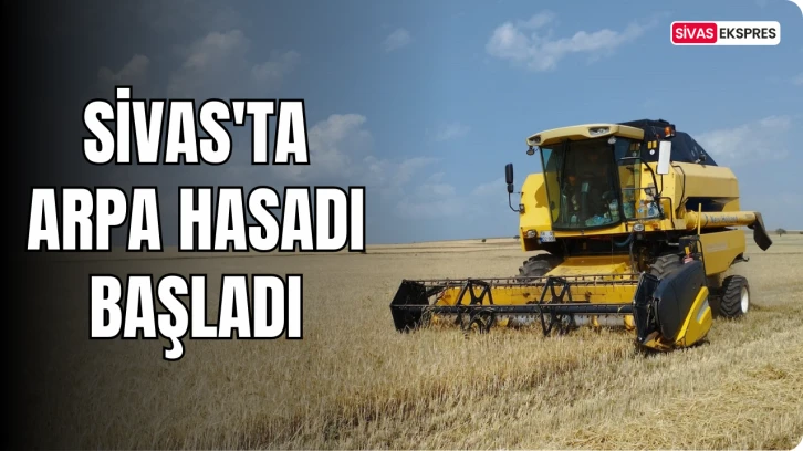 Sivas'ta Arpa Hasadı Başladı