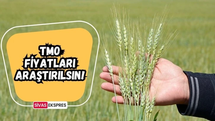 TMO Fiyatları Araştırılsın!