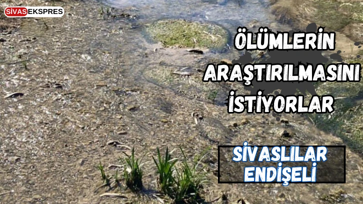 Sivaslılar Endişeli, Ölümlerin Araştırılmasını İstiyorlar