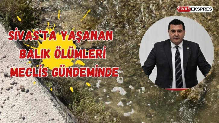 Sivas’ta Yaşanan Balık Ölümleri Meclis Gündeminde
