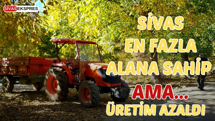 Sivas En Fazla Alana Sahip, Üretim Azaldı