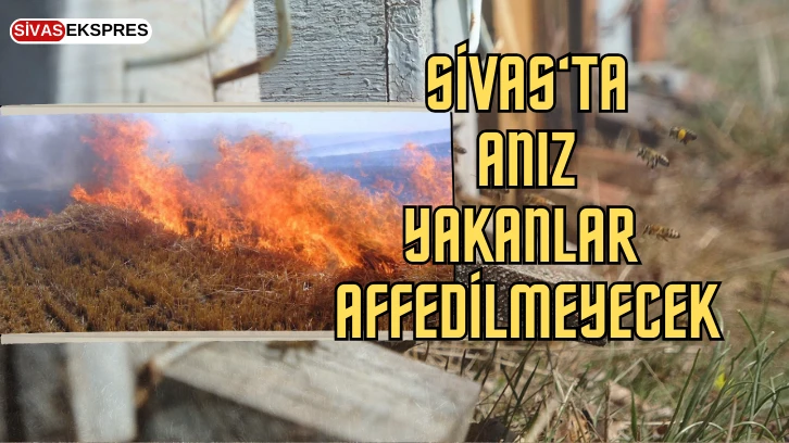 Sivas'ta Anız Yakanlar Affedilmeyecek