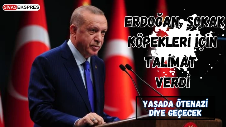 Erdoğan, Sokak Köpekleri İçin Talimat Verdi