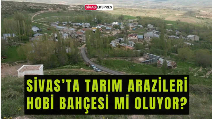 Sivas’ta Tarım Arazileri Hobi Bahçesi Mi Oluyor?