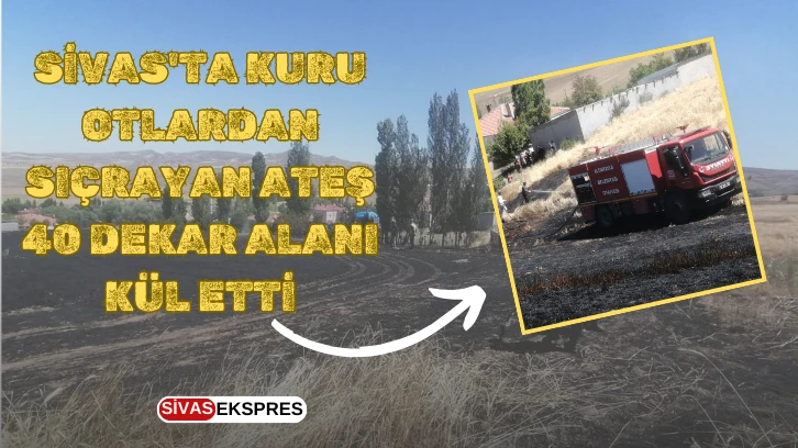 Sivas'ta Kuru Otlardan Sıçrayan Ateş 40 Dekar Alanı Kül Etti