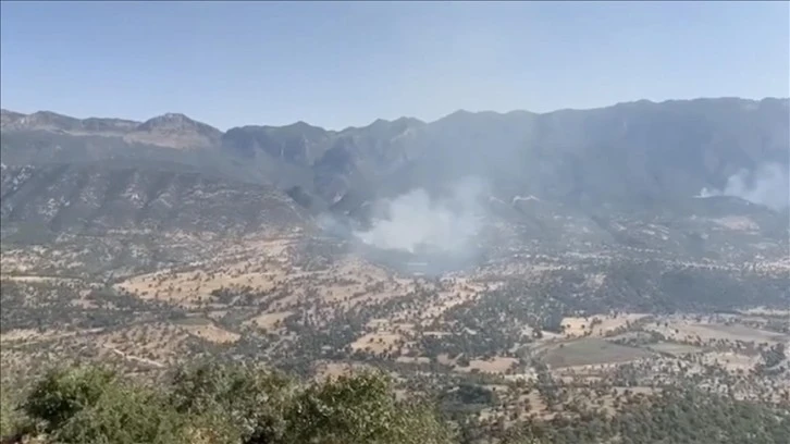 PKK'lılar Ormanları Yakmaya Başladı!
