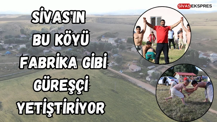 Sivas'ın Bu Köyü Fabrika Gibi Güreşçi Yetiştiriyor