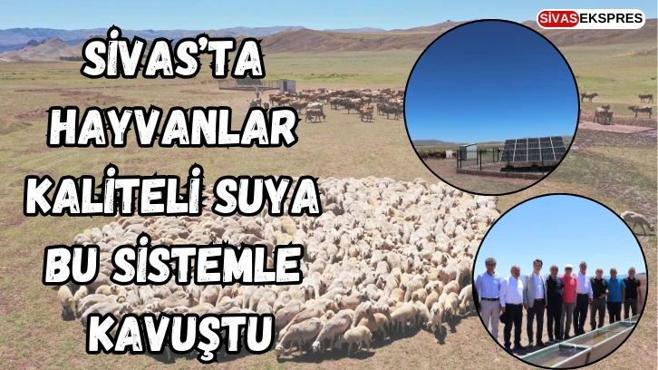 Sivas’ta Hayvanlar Kaliteli Suya Bu Sistemle Kavuştu