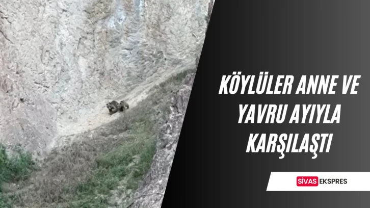 Köylüler Anne Ve Yavru Ayıyla Karşılaştı