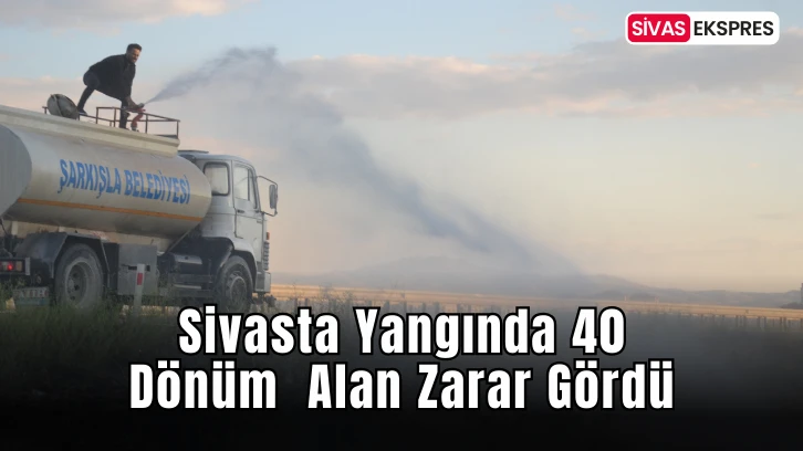 Sivasta Yangında 40 Dönüm  Alan Zarar Gördü