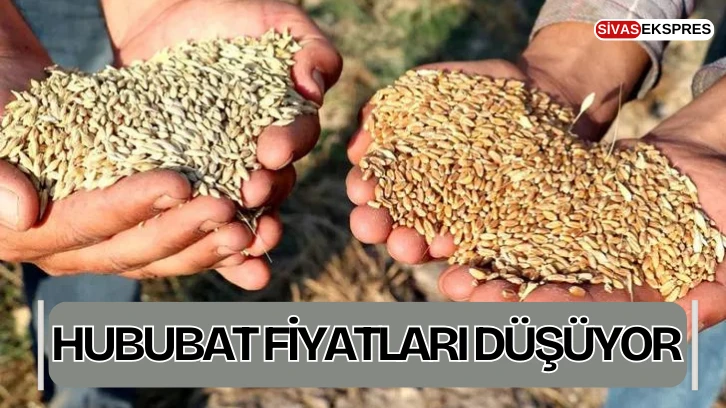 Hububat Fiyatları Düşüyor