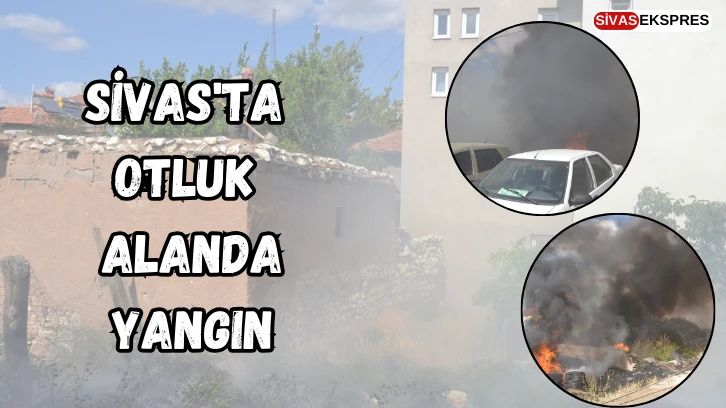Sivas'ta Otluk Alanda Yangın