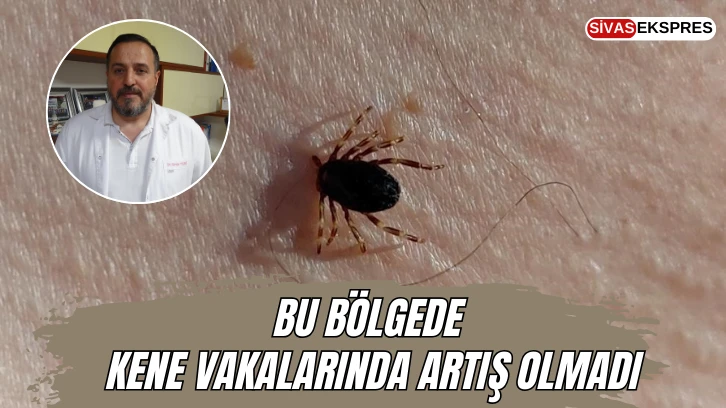 Bu Bölgede Kene Vakalarında Artış Olmadı
