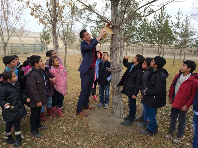 Okul bahçesine kuş yuvaları yerleştirdiler