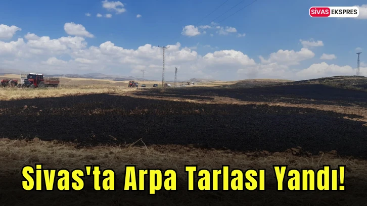 Sivas'ta Arpa Tarlası Yandı!