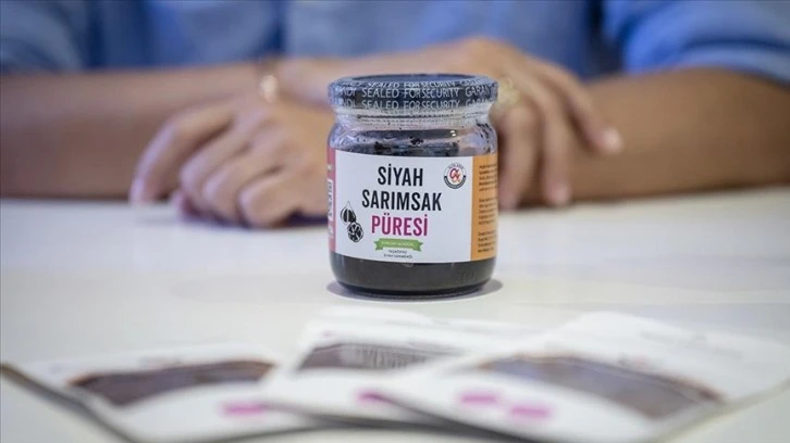 Sarımsak Üreten Kadınlar İki Kıtaya İhracat Hedefliyor