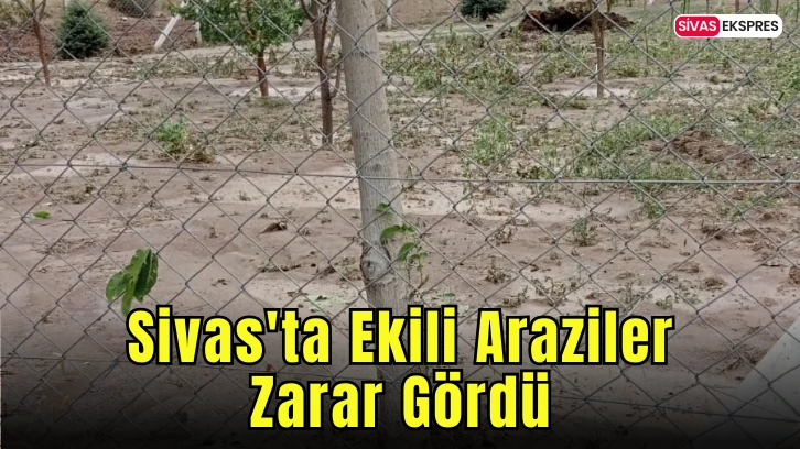Sivas'ta Ekili Araziler Zarar Gördü