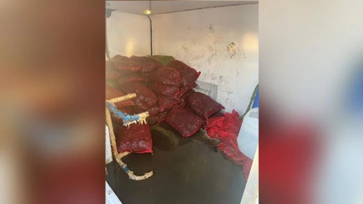 1 Ton Kaçak Midye Ele Geçirildi