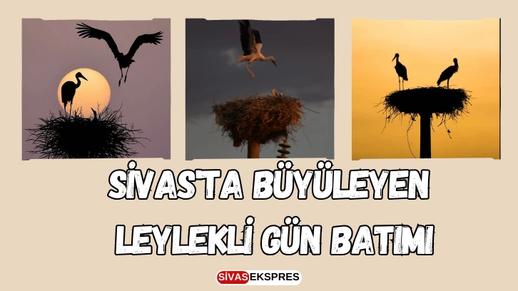 Sivas'ta Büyüleyen Leylekli Gün Batımı
