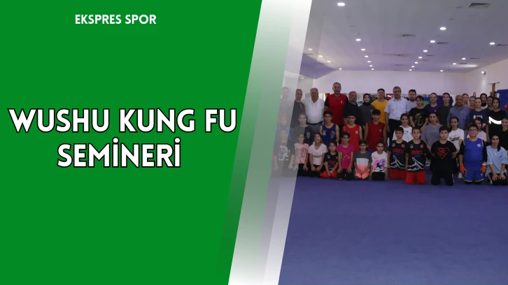 Wushu Kung Fu semineri