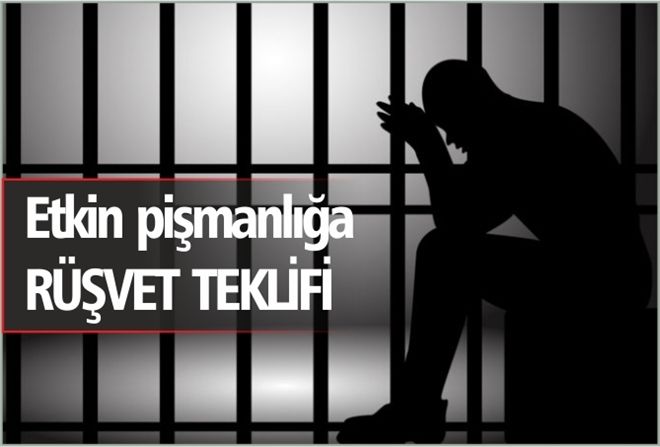 Etkin pişmanlığa RÜŞVET TEKLİFİ