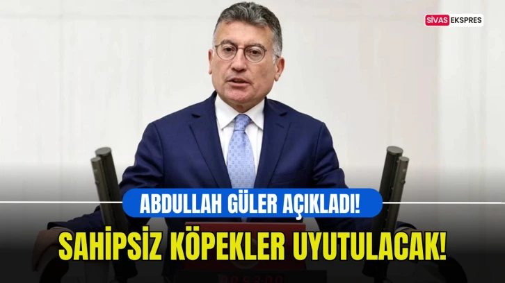 Abdullah Güler Açıkladı! Sahipsiz Köpekler Uyutulacak!