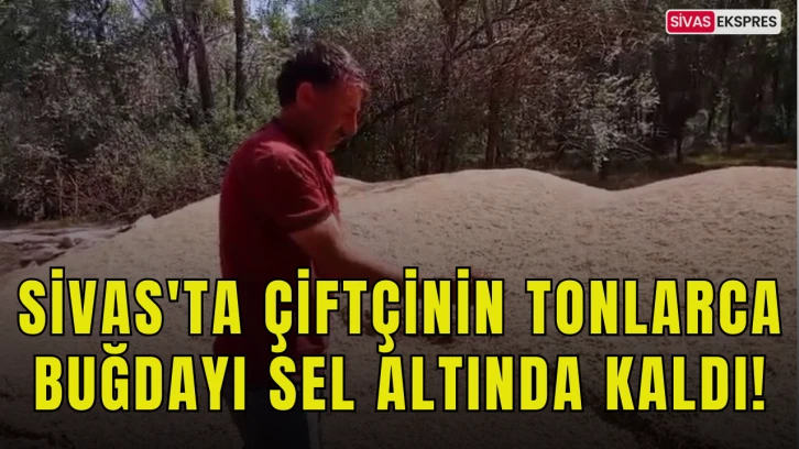 Sivas'ta Çiftçinin Tonlarca Buğdayı Sel Altında Kaldı!