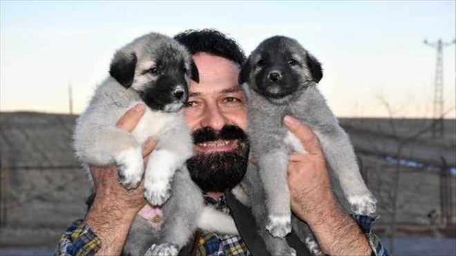 BAKAN SOYLU´YA 2 ÇİFT KANGAL GÖNDERİLDİ