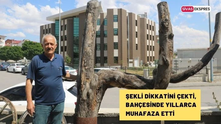 Şekli Dikkatini Çekti, Bahçesinde Yıllarca Muhafaza Etti