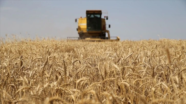 Çiftçilere 119 Milyon Destekleme Yatırıldı!