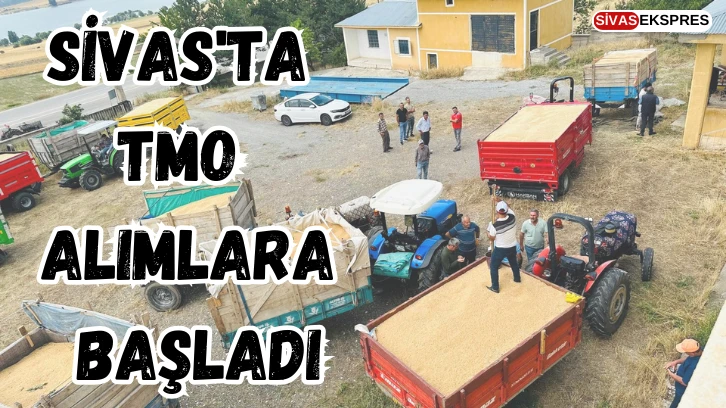 Sivas'ta TMO Alımlara Başladı