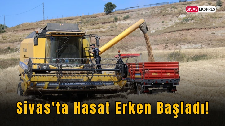Sivas'ta Hasat Erken Başladı!