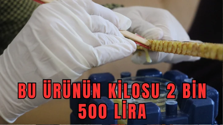 Arı Sütünün Kilosu 2 Bin 500 Lira